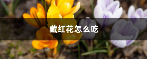 藏红花怎么吃